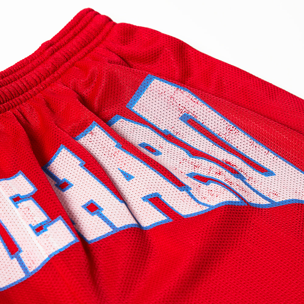 HIT ME HARD MESH SHORTS DETAIL