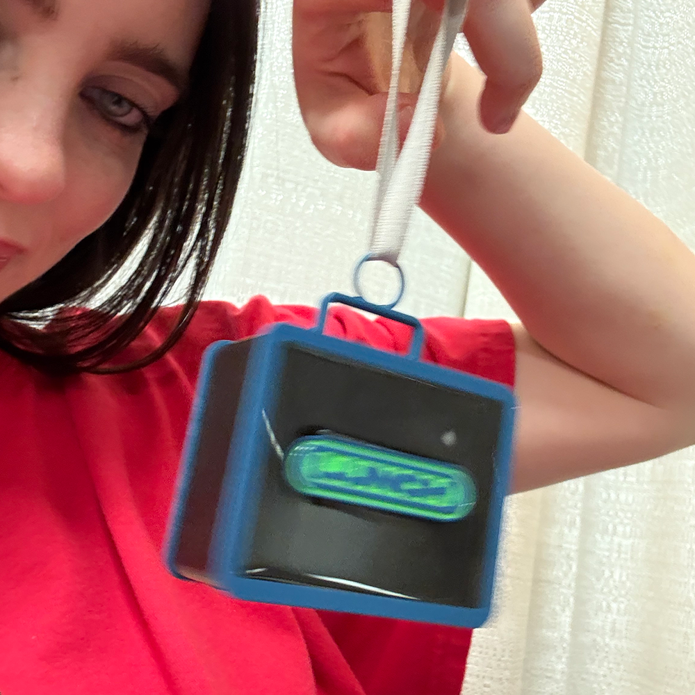 MINI LUNCHBOX ORNAMENT Selfie 2